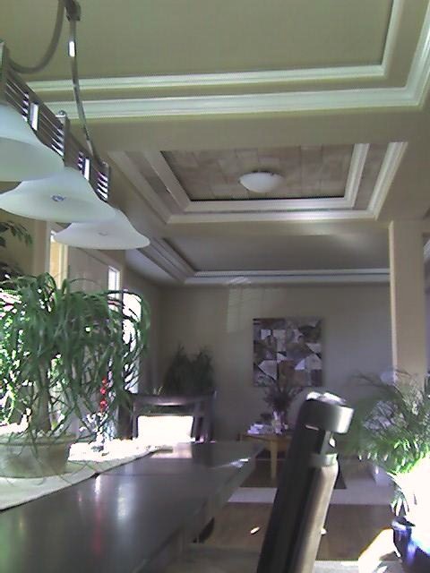 Entry ceiling from didning.jpg
