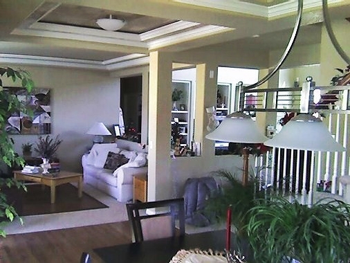 Entry ceiling done.jpg
