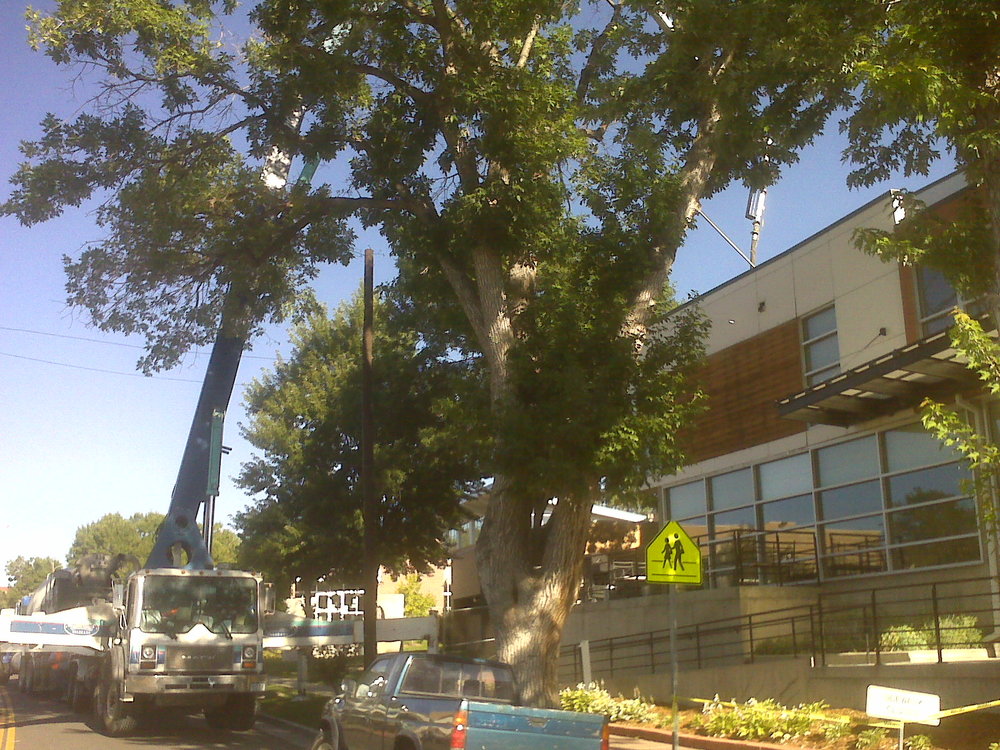 IMG00541.jpg